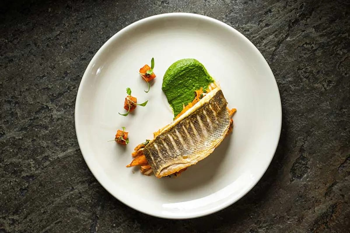 sea bass, on white